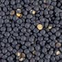 Beluga Lentils