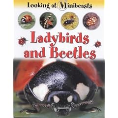 Ladybirds and Beetles (Looking at Minibeasts)