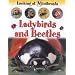 Ladybirds and Beetles (Looking at Minibeasts)