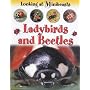 Ladybirds and Beetles (Looking at Minibeasts)