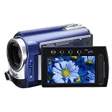JVC Everio GZ-MG330 30GB HDD Digital Camcorder
