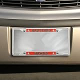 Hartford Hawks Domed Chrome License Plate Frame