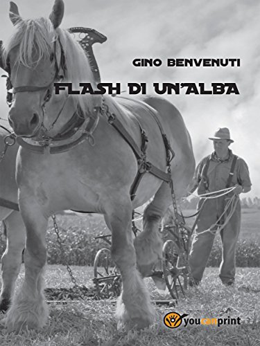 Flash di un'alba (Italian Edition)