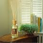 Alora Ambiance VERDE Reed Diffuser - 16oz