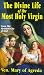 The Divine Life of the Most Holy Virgin: Being an Abridgement of the Mystical City of God