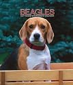 Beagles 2007 Weekly Calendar