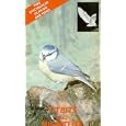 BBC Wildlife Special - Titbits / Nightlife [UK IMPORT]