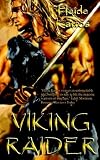 Viking Raider image