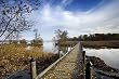 Boardwalk, Piscataway Park, Maryland Photograph - Beautiful 16"x20" Photographic Print by Brendan Reals