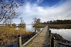 Boardwalk, Piscataway Park, Maryland Photograph - Beautiful 16"x20" Photographic Print by Brendan Reals