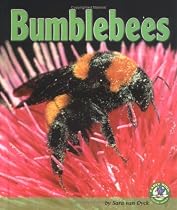 Bumblebees (Early Bird Nature Books)