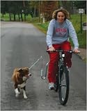 Springer Bicycle Jogger
