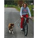 Springer Bicycle Jogger