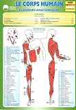 Le corps humain : Planches anatomiques Le corps humain : Planches anatomiques