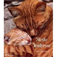 Sieste et Tendresse