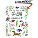 Big Book of Nature Stencil Designs (Dover Pictorial Archive)