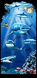 Review Sherry  / Shark Reef Terry Velour Beach/Bath Towel