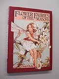 Flower fairies of the season