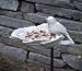 Evergreen Enterprises Mulberry & Yellow Warbler Stake Feeder