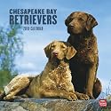 Chesapeake Bay Retrievers 2010 Square Wall (Multilingual Edition)