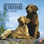 Chesapeake Bay Retrievers 2010 Square Wall (Multilingual Edition)