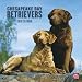 Chesapeake Bay Retrievers 2010 Square Wall (Multilingual Edition)