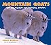 Mountain Goats of Glacier National Park