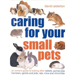 Caring for Your Small Pets