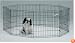 Midwest Black E-Coat 24-Inch-High Exercise Pen with Ground Stakes