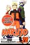 Naruto, Vol. 28: Homecoming