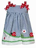 Clearance Gingham Lady Bug Dress ~ 18M (S127819)