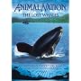 Animal Nation - Lost Whales [DVD]