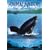 Animal Nation - Lost Whales [DVD]