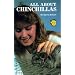 All About Chinchillas