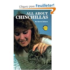 All About Chinchillas