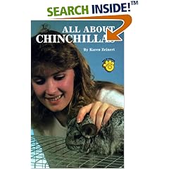 All About Chinchillas