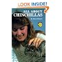 All About Chinchillas