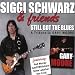 Still Got the Blues-a Tribute to Gary Moore