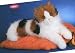 Plush Puzzle Calico Cat 19"