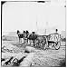 City Point, Virginia (vicinity). Four-mule army team and wagon Reprint (12 x 12 inche...