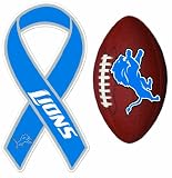 NFL Detroit Lions Magnet Set