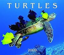 Turtles 2009 (Calendar)