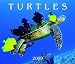 Turtles 2009 (Calendar)