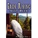 Eros Rising