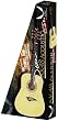 Dean Tradition Acoustic Guitar Pack with Gig Bag, Pitch Pipe and Picks