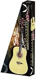 Dean Tradition Acoustic Guitar Pack with Gig Bag