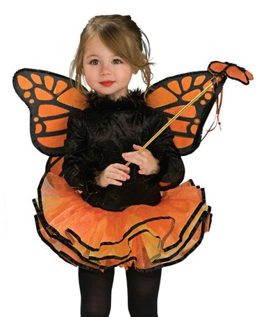 Girls Tutu Butterfly Costume