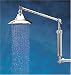Sprite Shower Up Euro Shower Arm with Chlorine Filter