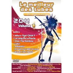Le Meilleur Des Tubes En Karaok� 2011 Vol. 1