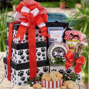 Paw Print Party Dog BIRTHDAY Gift Basket